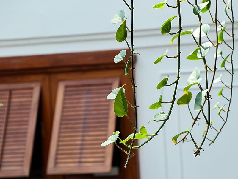 Emmezeta_serramenti_green policy_gallery_01